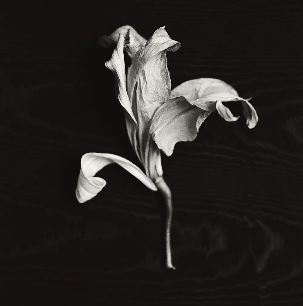 Fotografía de la serie de Gorka Postigo