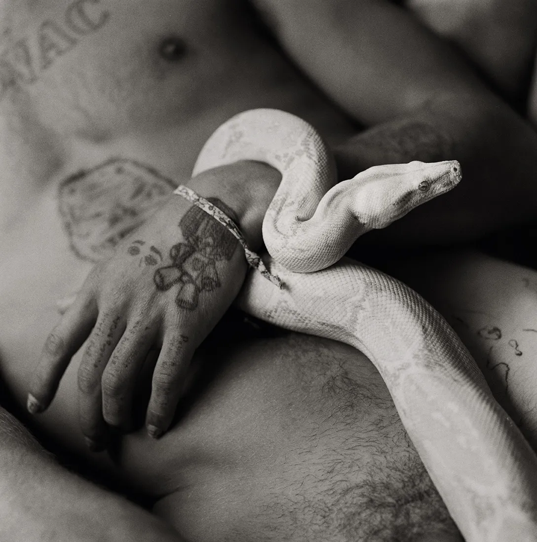 Serpiente sobre cuerpo tatuado